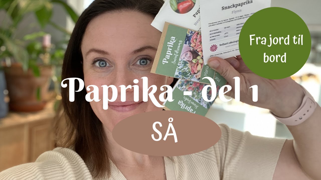 Paprika fra jord til bord  - del 1 - SÅ