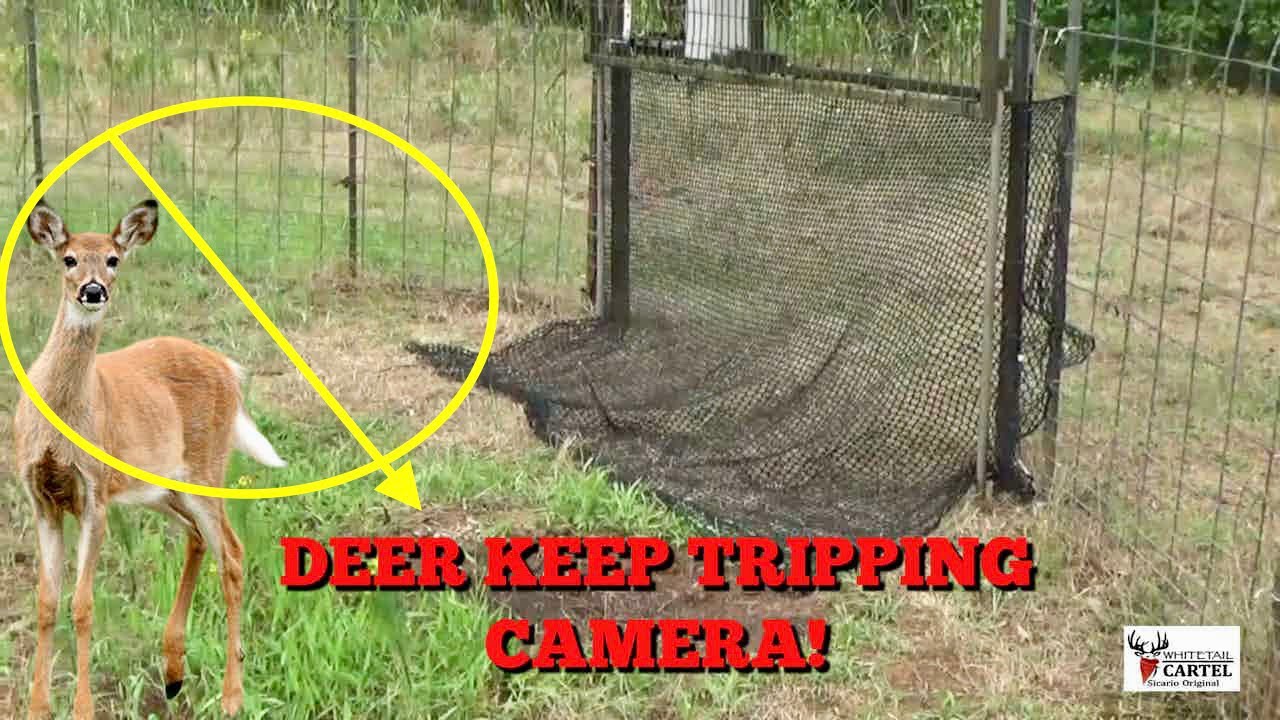 Jaeger Pro Hog Trap : Deer Deterrent!!!