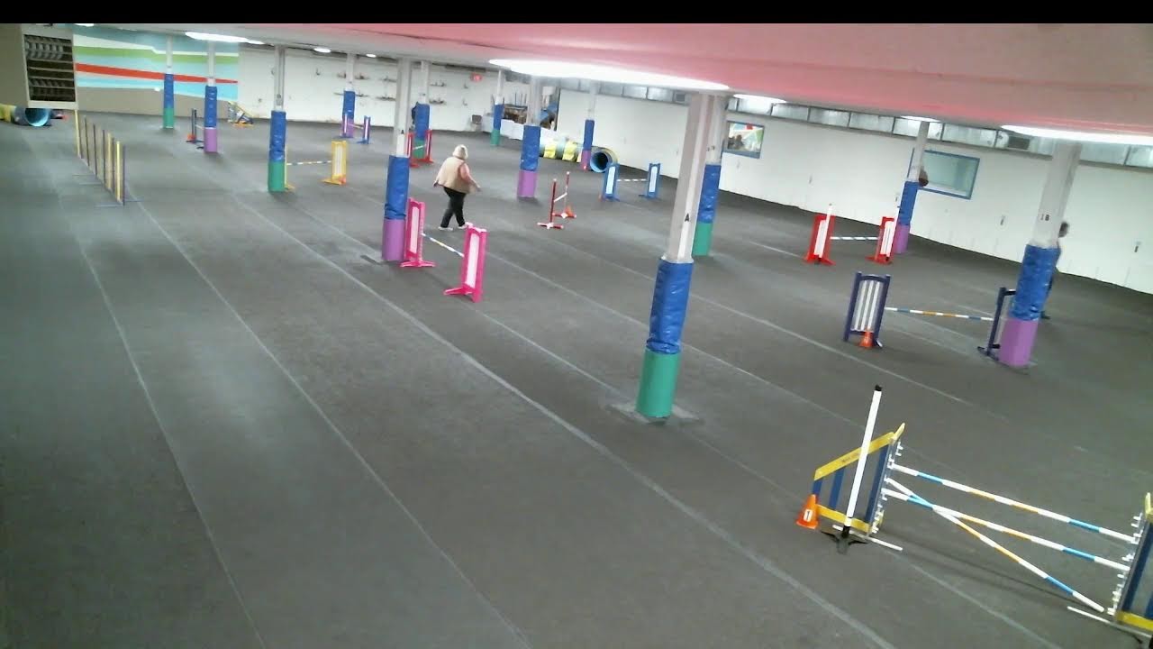 TCOTC Agility Trial Feb/March 2026