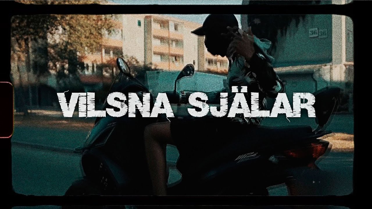 Euroo x Owen x Dree Low Type Beat - VILSNA SJÄLAR (Prod. GBeatz)