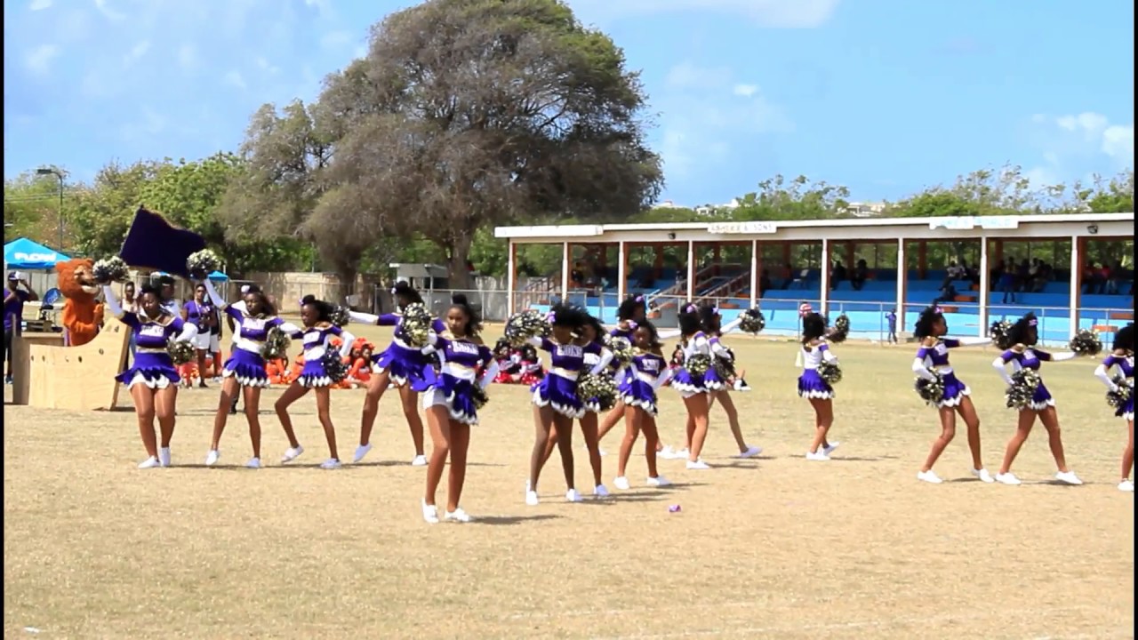 ALHCS Purple House Cheerleaders 2017