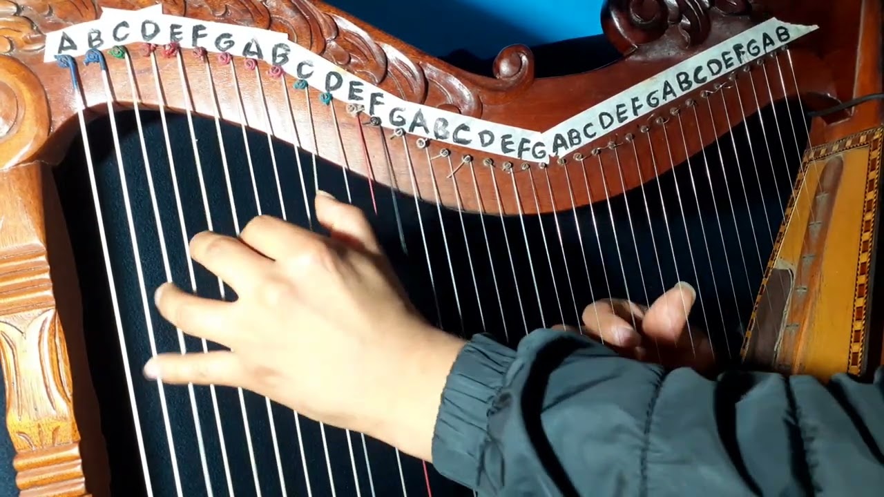 APRENDIENDO A EJECUTAR EL ARPA   CHOFERCITO   SOSIMO SACRAMENTO   COVER