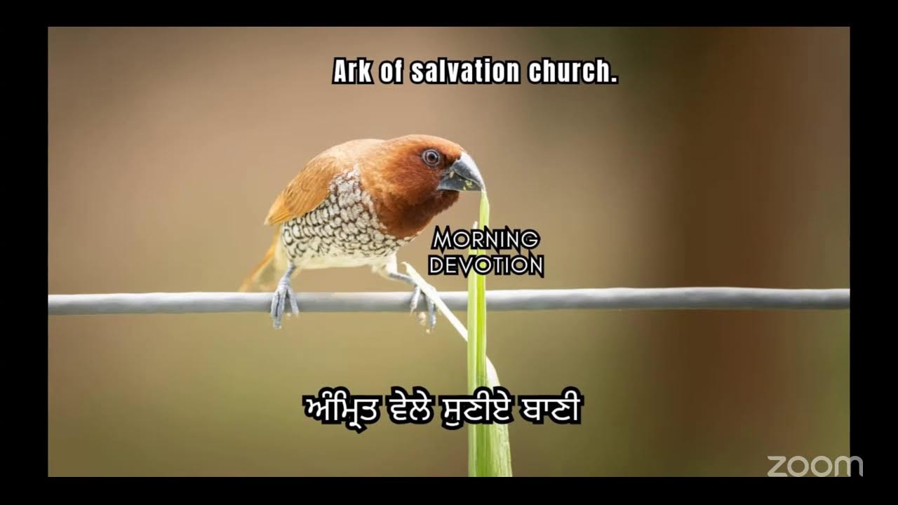 Morning Devotion| सुबह की प्रार्थना|ਅੰਮ੍ਰਿਤ ਵੇਲੇ ਸੁਣੀਏ ਬਾਣੀ|