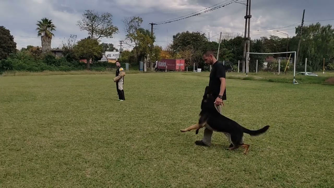 exámen igp2 protección 100 pst