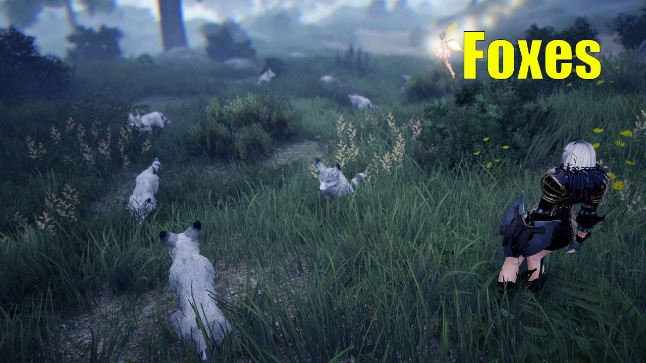 Fox rotation at Forest of seclusion | Black desert online