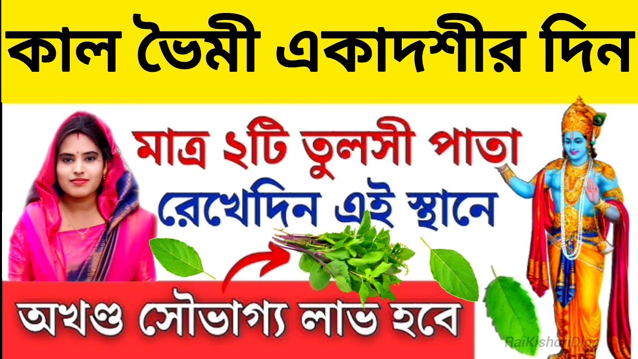 ভৈমী বা জয়া একাদশীর দিন অবশ্যই করুন এই কাজ, ২টি তুলসী পাতা রাখুন। Bhaimk jaya Ekadashi Mahatva 2026