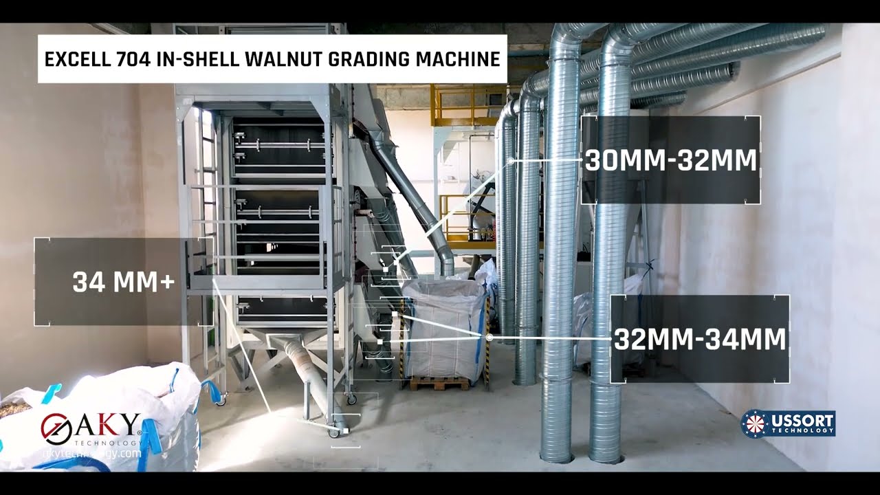Walnut Grading and Cracking Line 4 Tons/Hour - AKY Technology