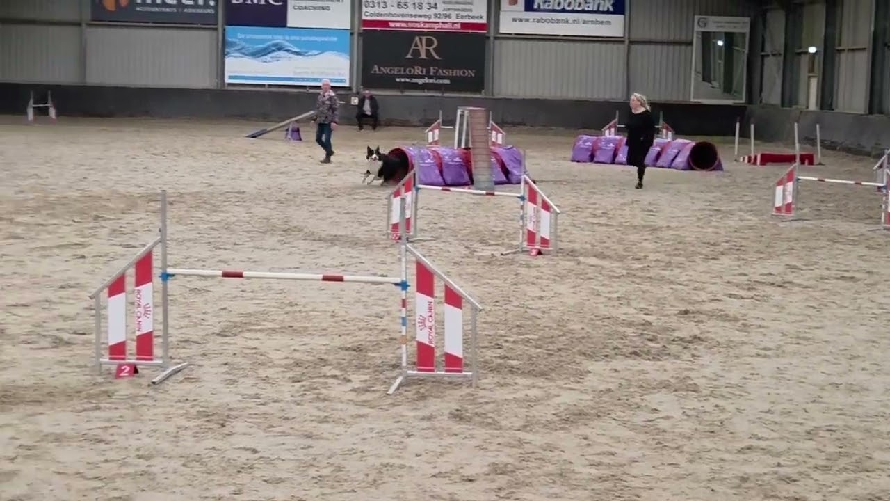 2025-11-14 Anita Joey 1 fout