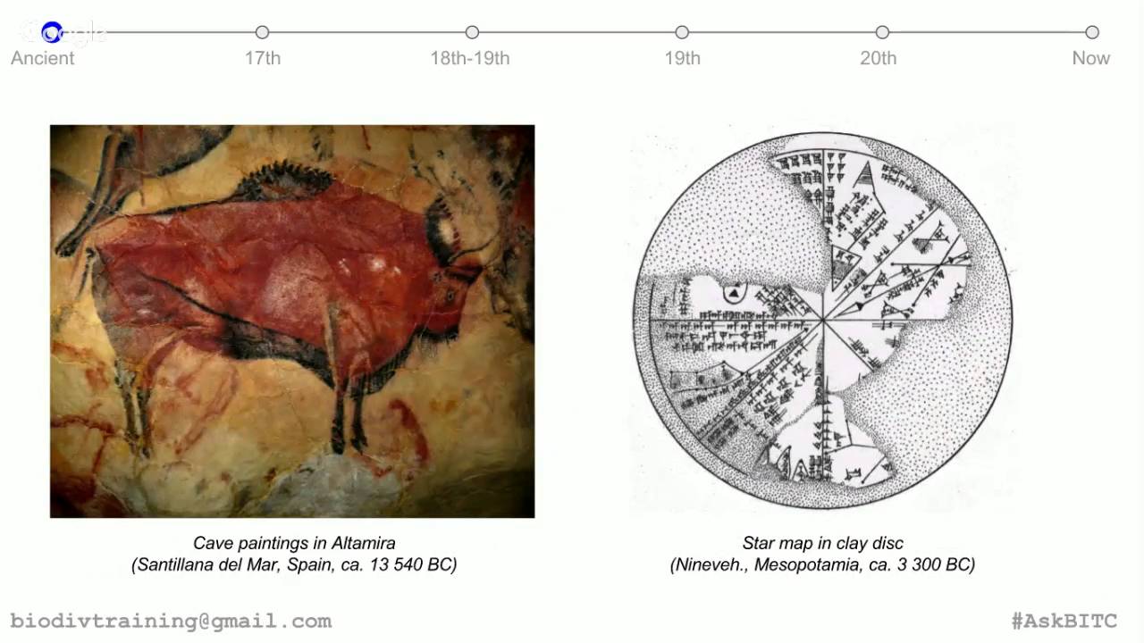 BITC Global Online Seminar #27: History of Visualizations in Biodiversity Informatics