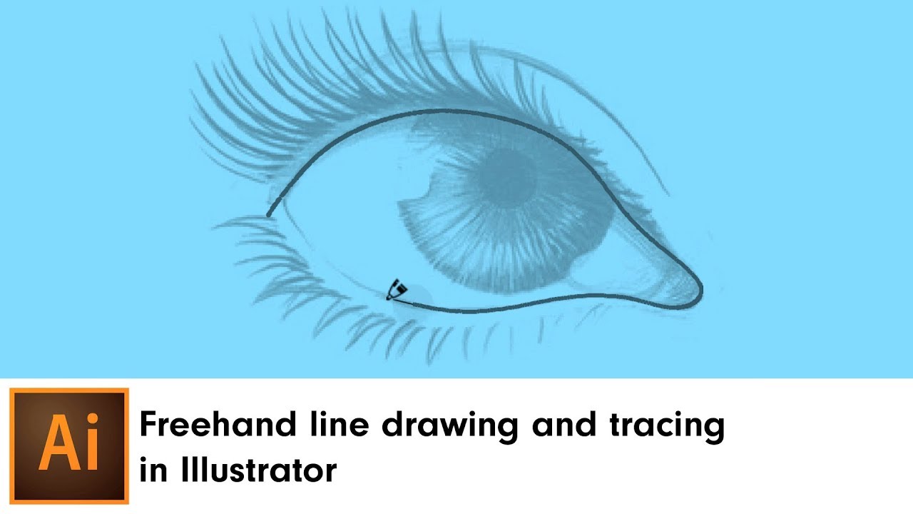 Рисование и трассировка линий от руки в Illustrator | DynamicSketch