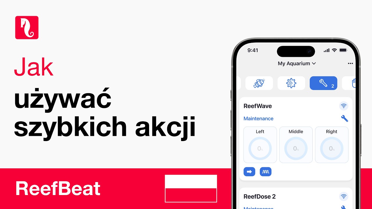 Nowe Szybkie Akcje w ReefBeat &ndash; więcej możliwości, wszystko w jednym miejscu!