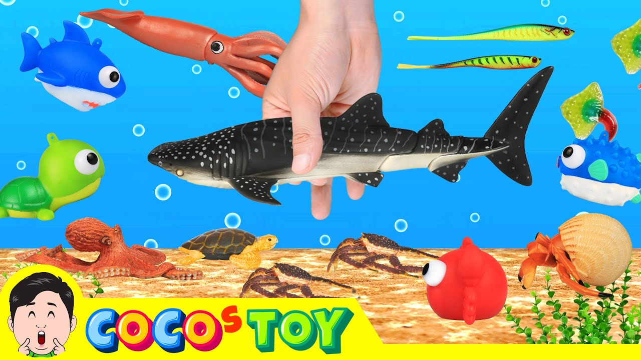 Давайте устроим вечеринку для морских животныхㅣИмена морских животных для детейㅣCoCosToy