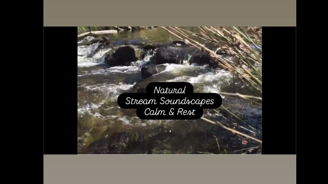 Calming stream and bird songs. Relaxing and meditative. Sounds of nature.