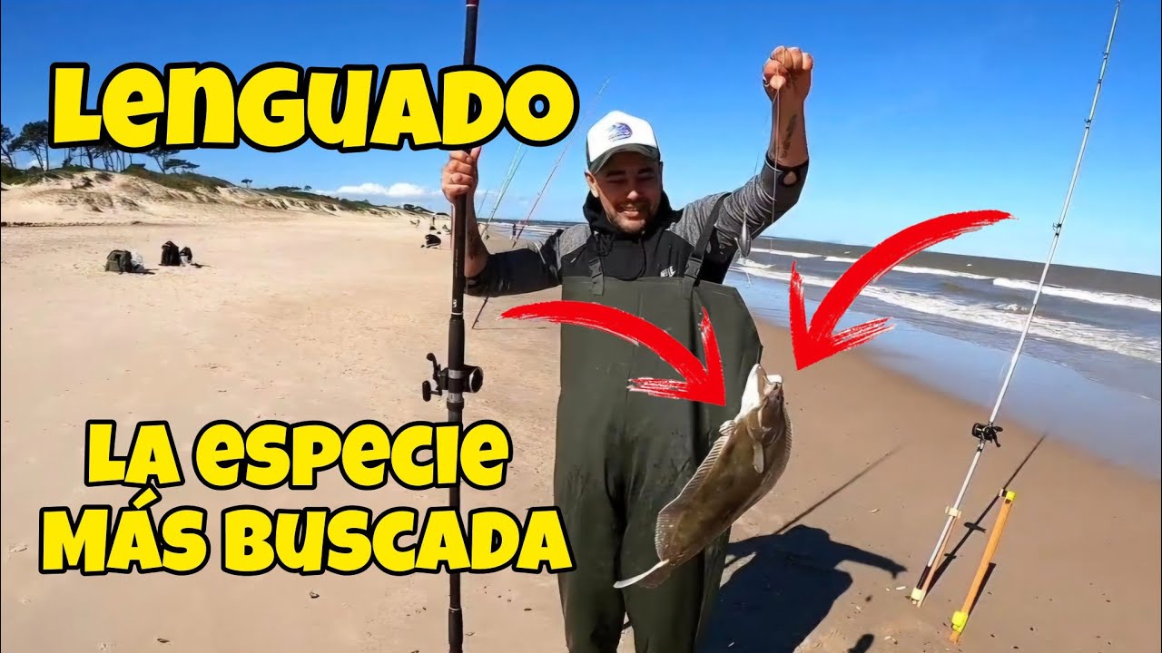 PESCA de LENGUADO, UNO DE LOS PECES MÁS RICOS en LAS TOSCAS, VARIADA de COSTA 