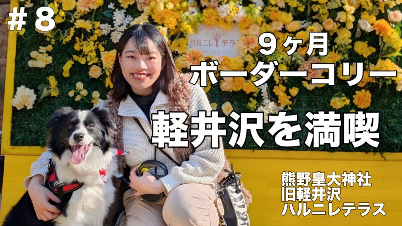 【愛犬と行く軽井沢】 犬に優しい町、軽井沢で肉球手形をとってきた！