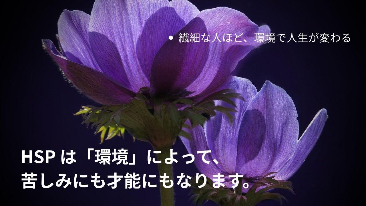 繊細な人が壊れずに生きるための環境設計　　　　　　　　　　　　　　　　　　　　　　#HSP#繊細さん#自己理解#環境調整#生きづらさ改善#心理学#つばめさんのやさしい時間