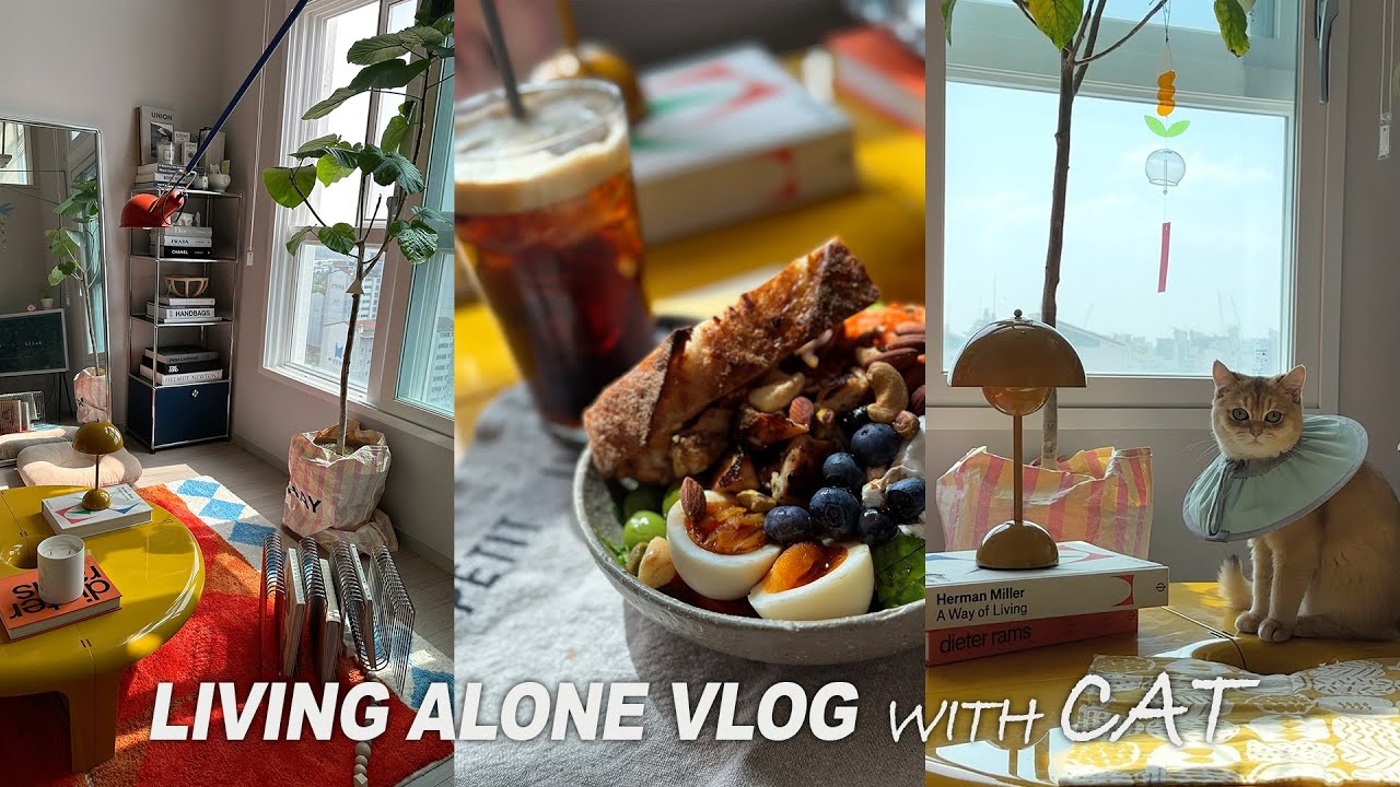 vlog_소금이 중성화 수술한 주_귀염뽀짝 폭발한 영상_그리고 저 직접 파마자 만들고 건강식하며 지내요