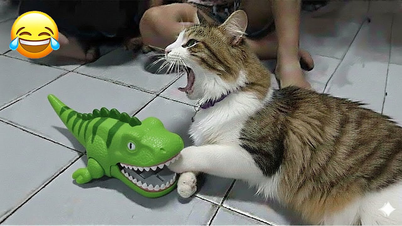 Funniest Cats and Dogs Clips 2026❤️❤️Try Not To Laugh🐱