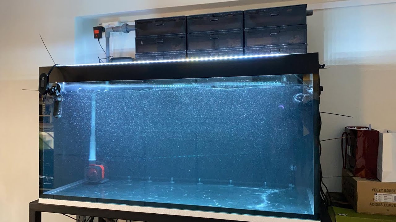 Jackson's N30 Arowana Tank Set Up (Part 2/4) 龙鱼缸设置