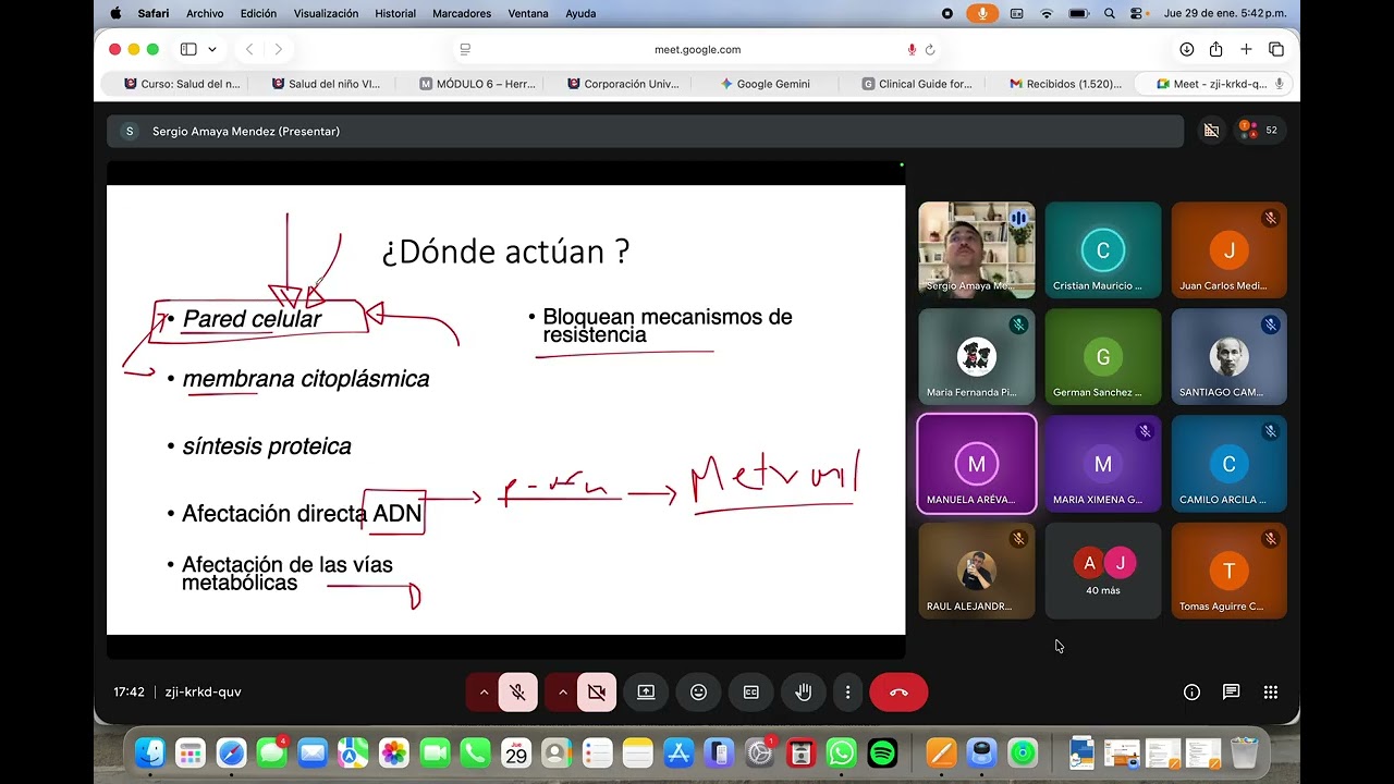 Clase farmacología 29 de enero