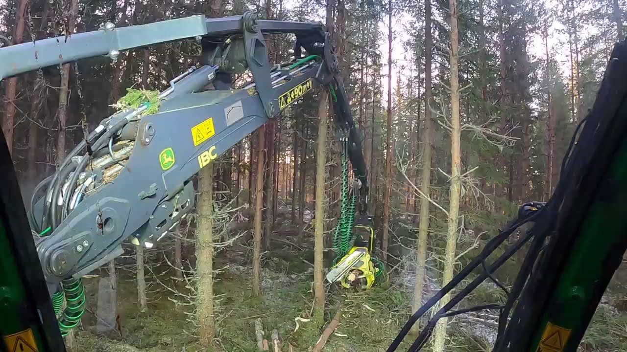 John Deere 1170G / 413 (IBC) i första gallring RAW