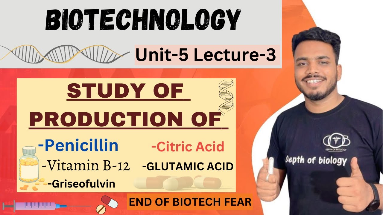 study of production of penicillin | Citric acid | Vitamin B12 | Glutamic acid | Griseofulvin