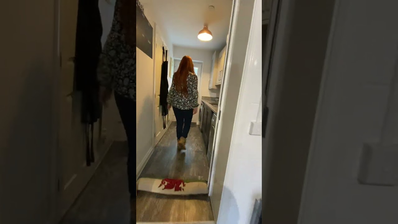 Walk through Video of Y Dolydd, Cwmdare