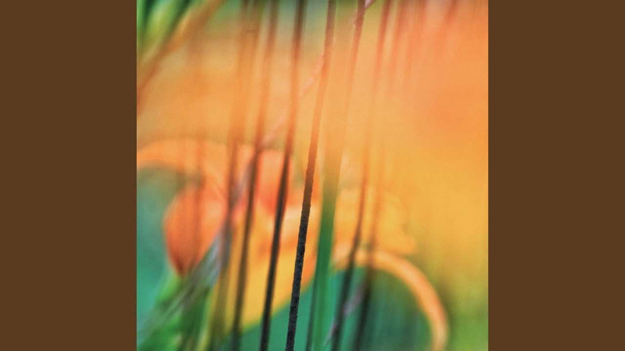 Tranquil Resonance
