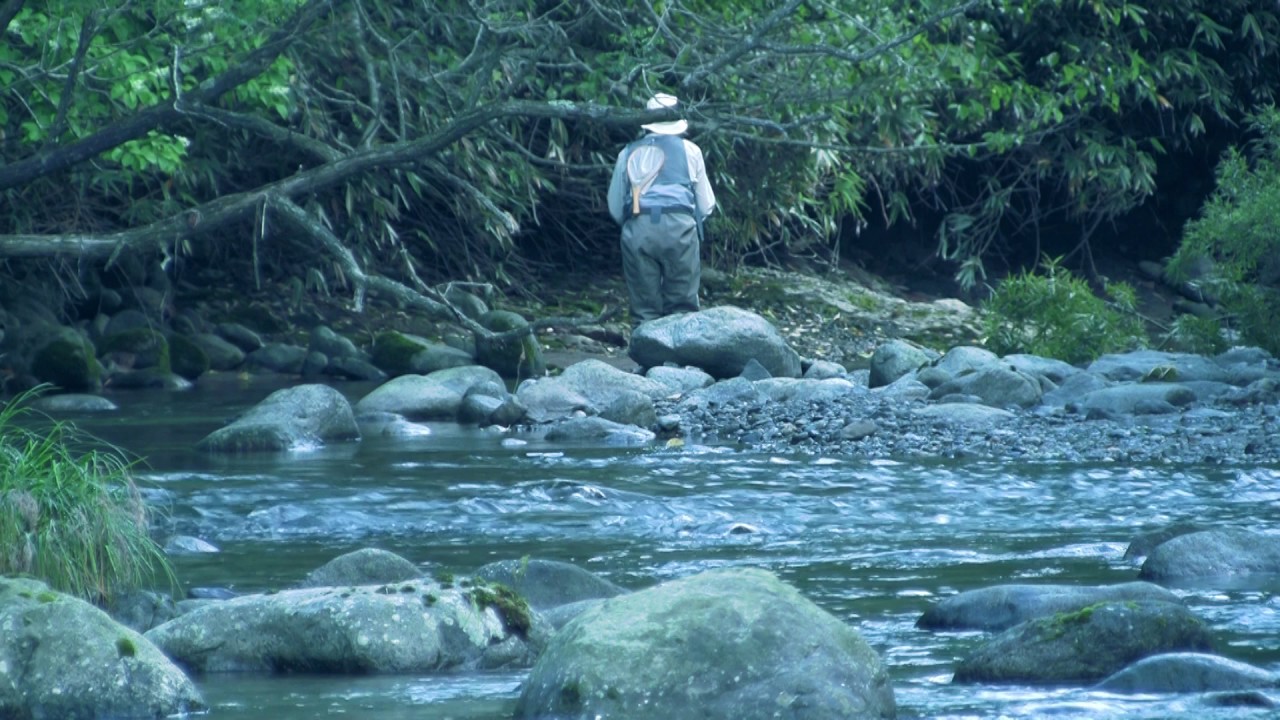 道南渓流フライフィッシング ヤマメ 【北海道夏の里川でドライフライフィッシング】阿寒倶楽部のフライフィッシング動画ACM vol 120