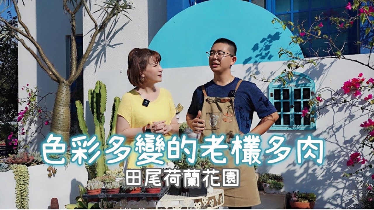 色彩多變的老欉多肉［翡歐娜視記］ep.96#田尾荷蘭花園