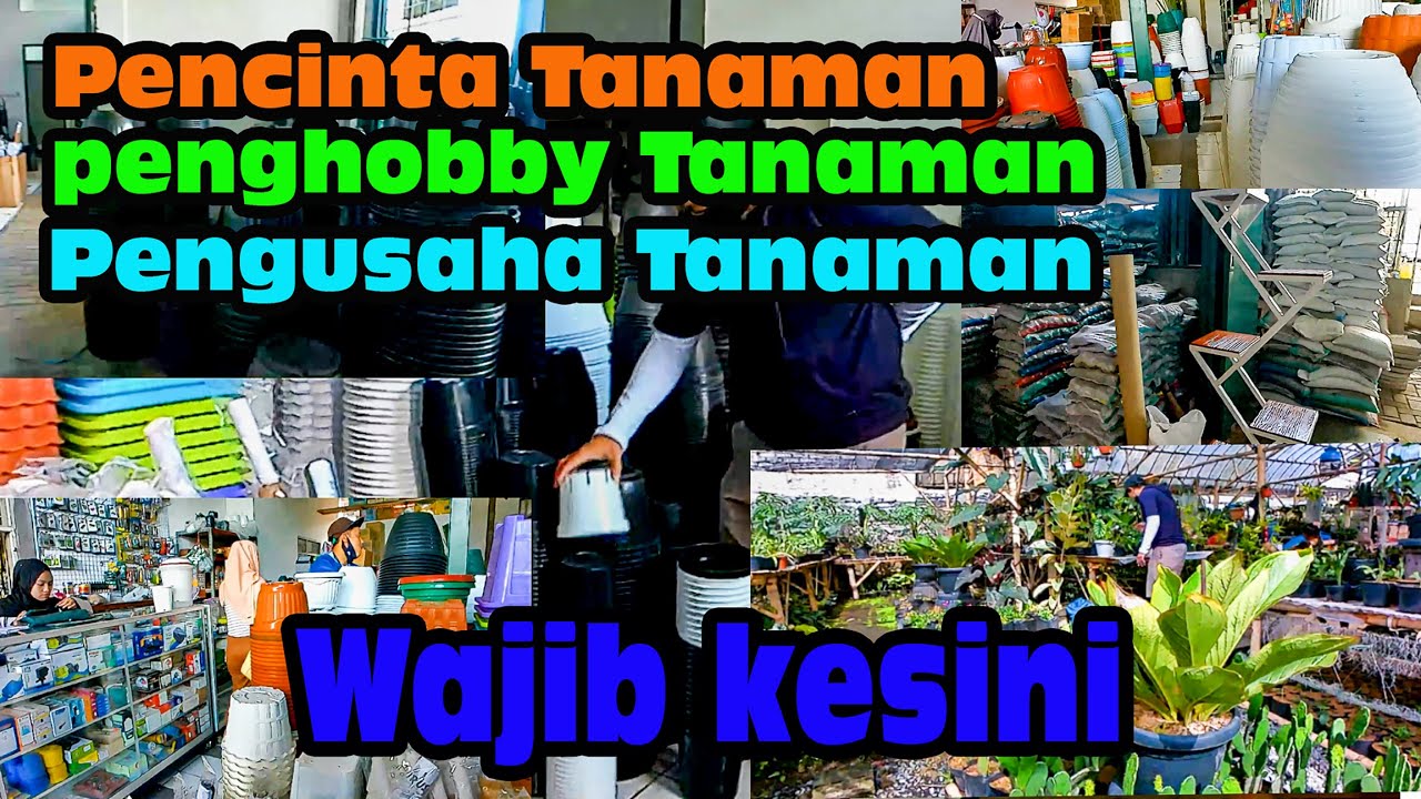 Tempat wisata belanja murah, komplit, terbaik untuk perlengkapan hobby tanaman (ENG SUB)