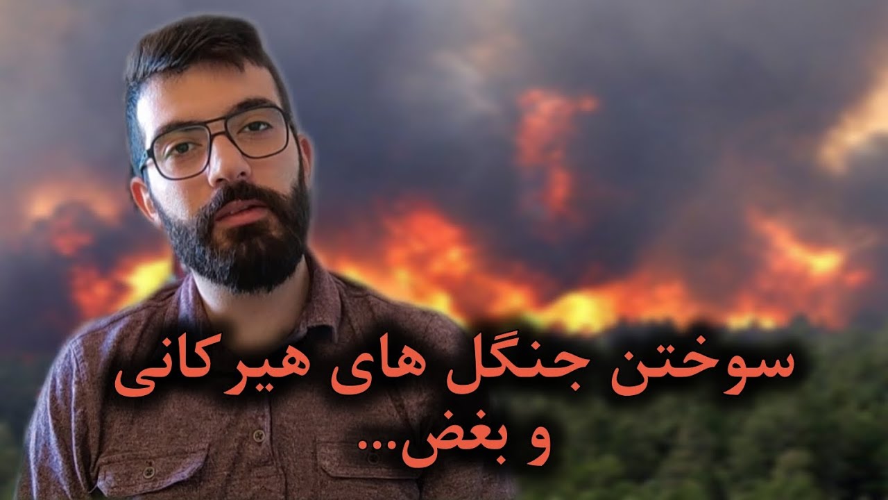 آتش سوزی جنگل های هیرکانی و بغض برای ایران...