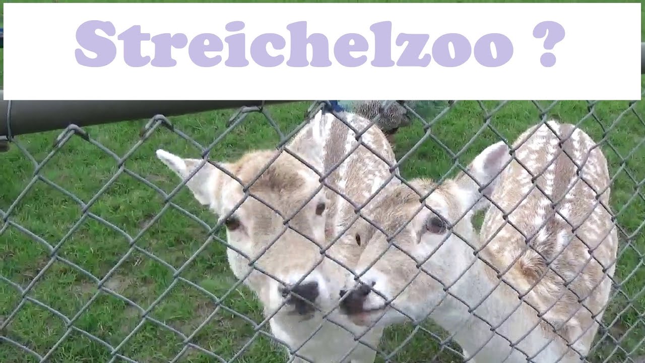 STEVENSWEERT Limburg - Meerse Kamp - ein kleines Paradies! #vlog