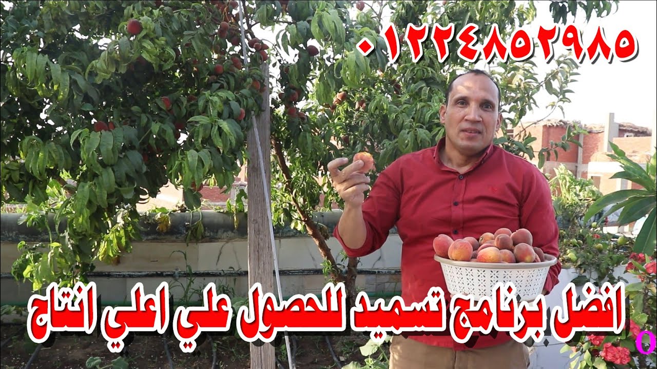 شرح مبسط لأفضل برنامج تسميد في زراعة الاشجار والخضر للدكتور: عبدالرحمن شحاتة تصميم الحدائق والاسطح