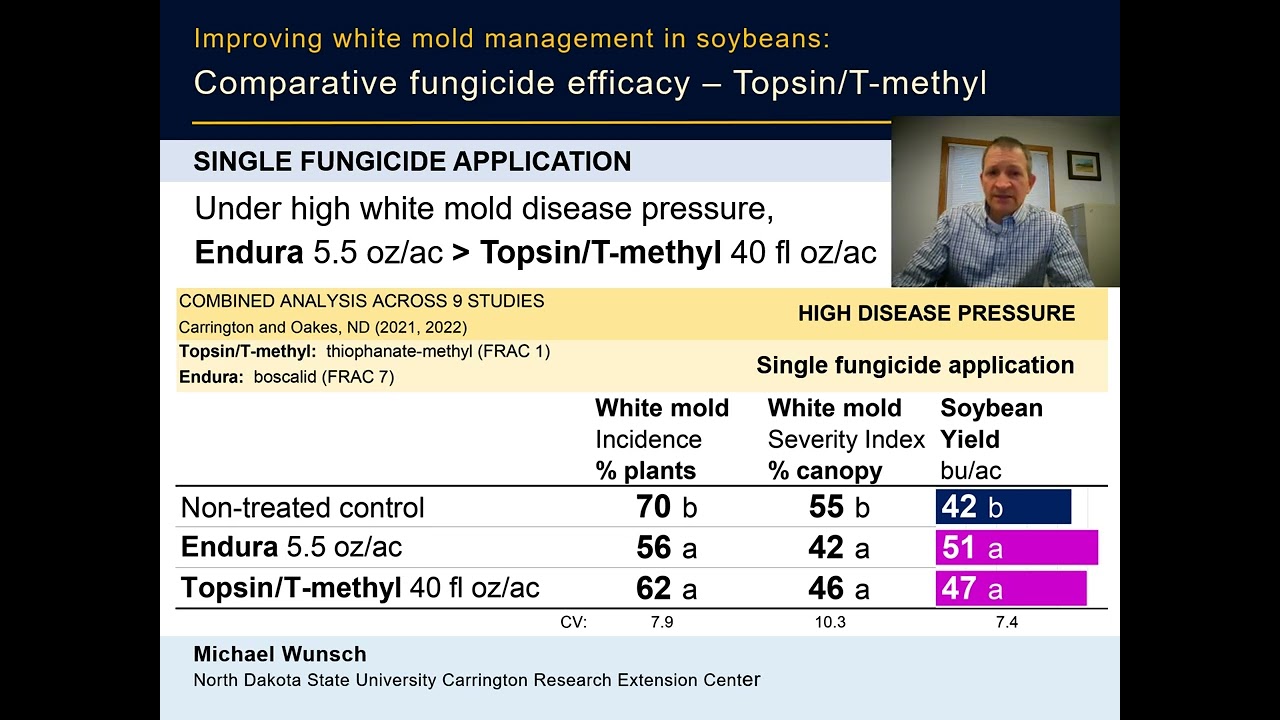 2025 Soybean TOPSIN White Mold Fungicide Efficacy VIDEO