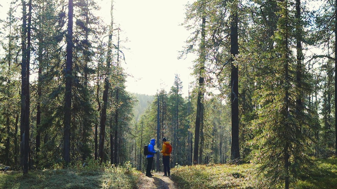 Hiking in Pyhä-Luosto National Park Lapland Finland