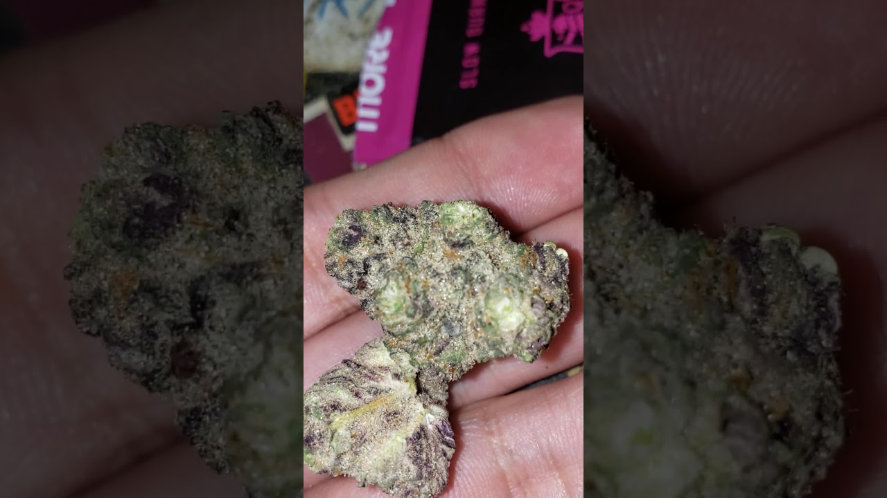 Mimosa Strain Review