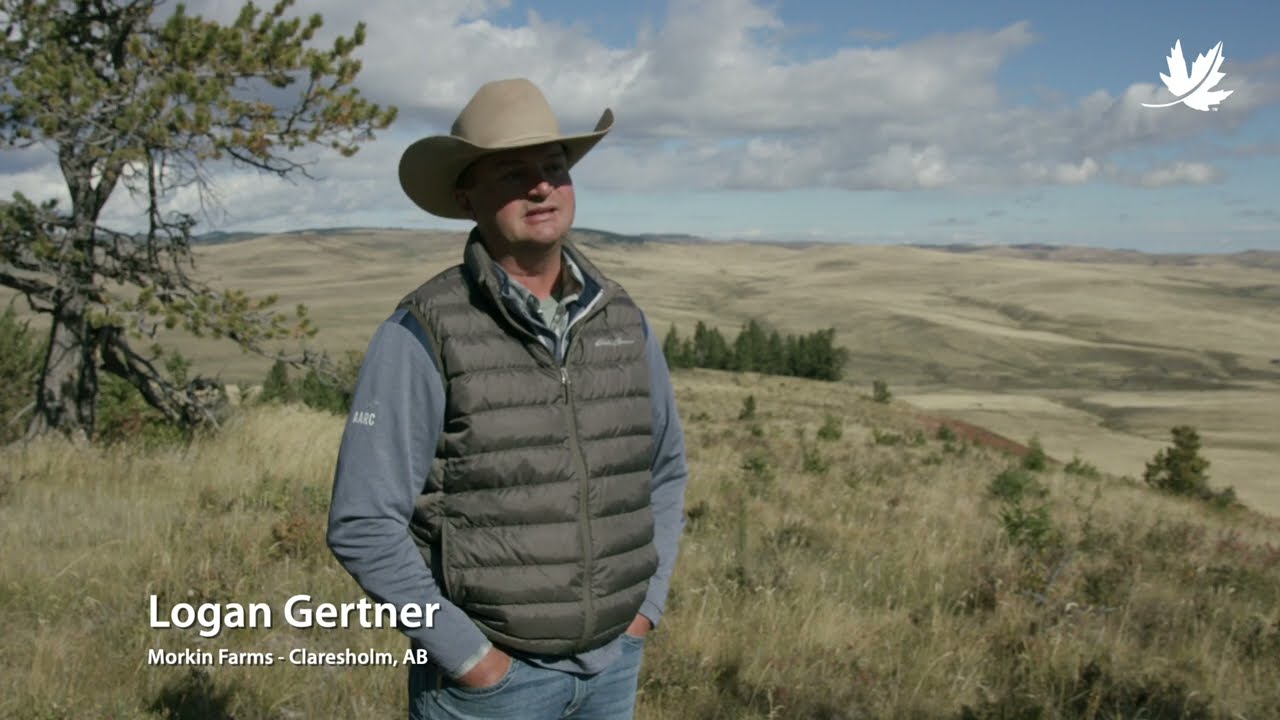 Working together for Alberta&rsquo;s natural heritage