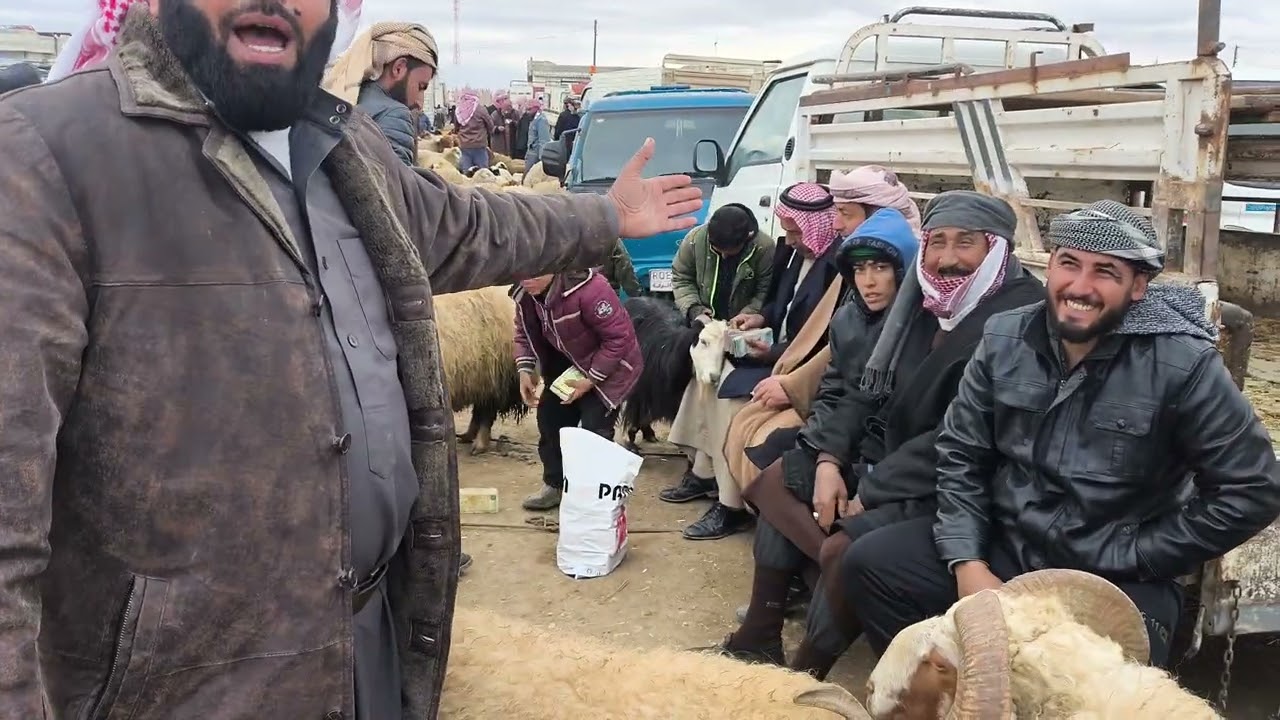 سوق الحداديه يوم السبت //17//1//2026// حركه السوق عند الدلال ابو غازي وجميع الدلاله اخوان اشتراك 