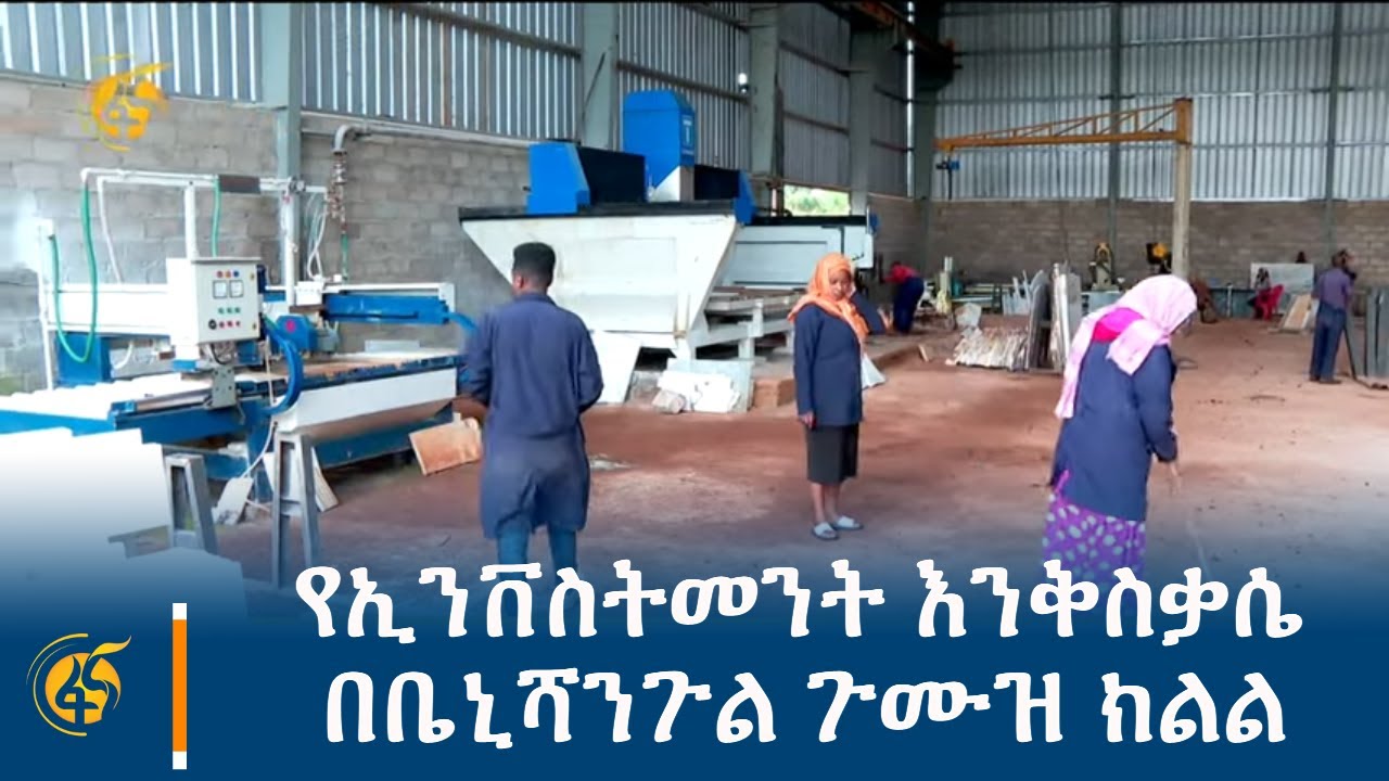የኢንቨስትመንት እንቅስቃሴ በቤኒሻንጉል ጉሙዝ ክልል