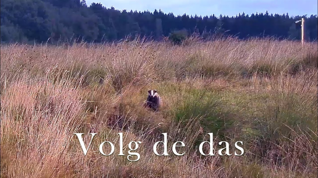 Volg de das