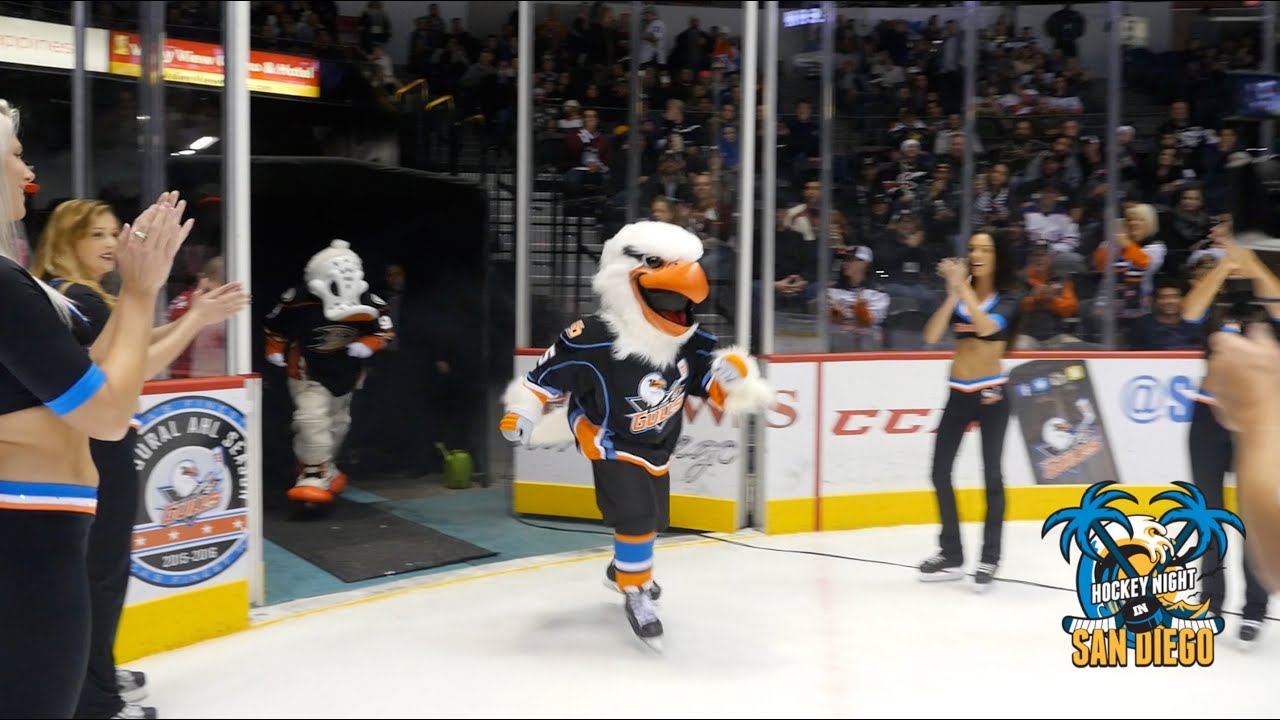 San Diego Gulls Mascot Gulliver is Unveiled