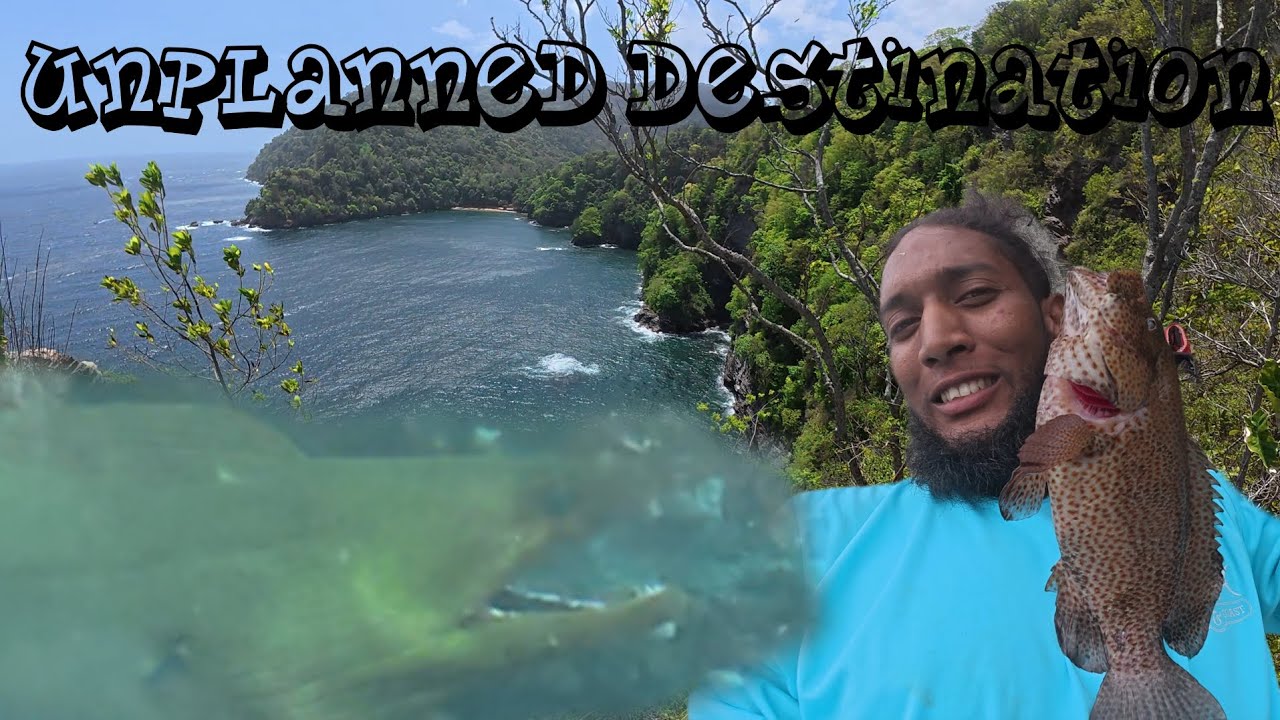 Where will this trail lead to? | Fishing spot in Trinidad 🇹🇹 Catch, Clean, Roast Fish - Northcoast