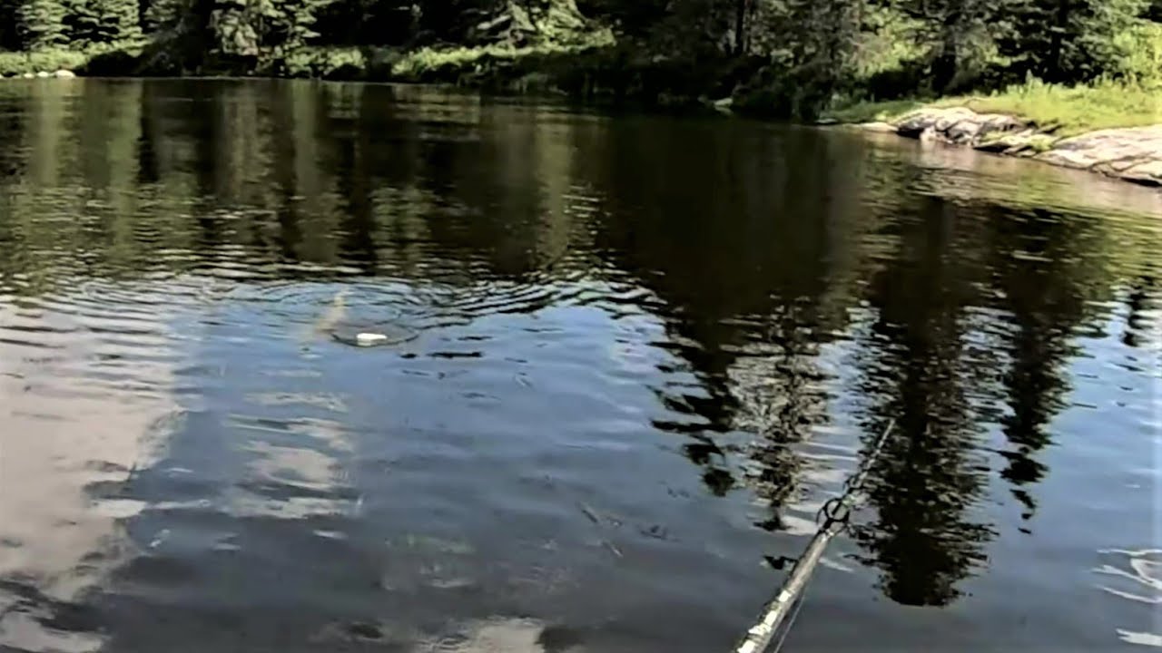 Musky Follows and Misses.   Muskie fishing hurts!   NW Ontario.