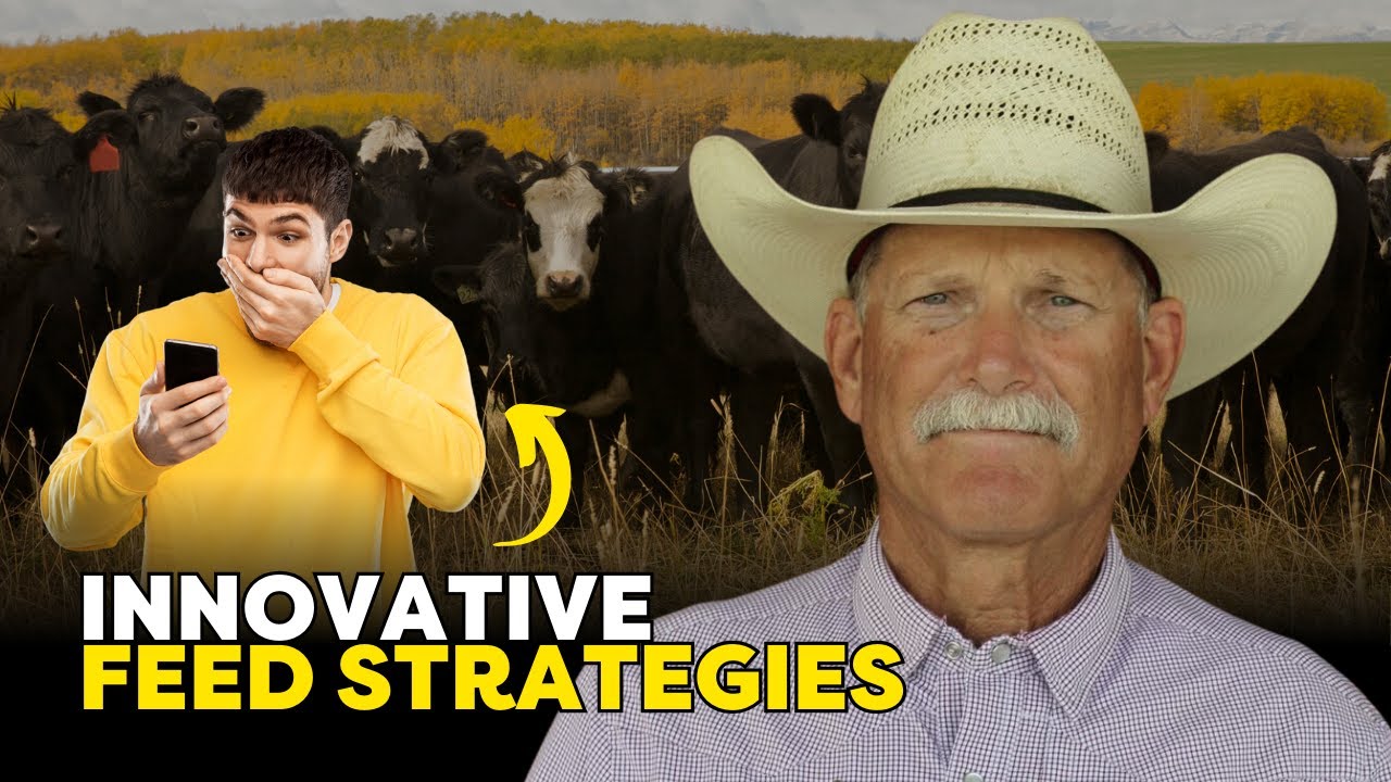 James Davison: Rumen Health & Cattle Performance