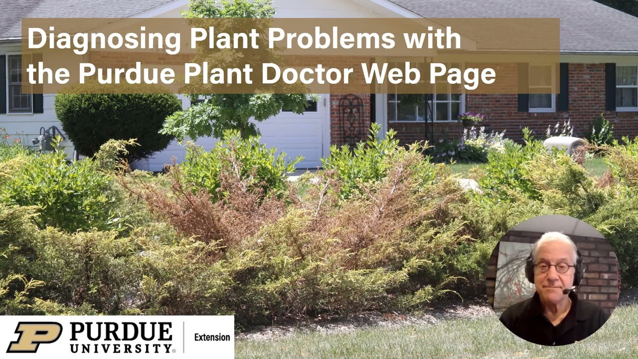 Diagnosing Plant Problems with the Purdue Plant Doctor Web Page