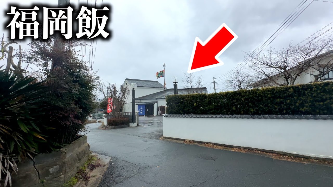 【福岡ランチ】地元民しか知らない謎エリアの「イカ活き造り」人気店