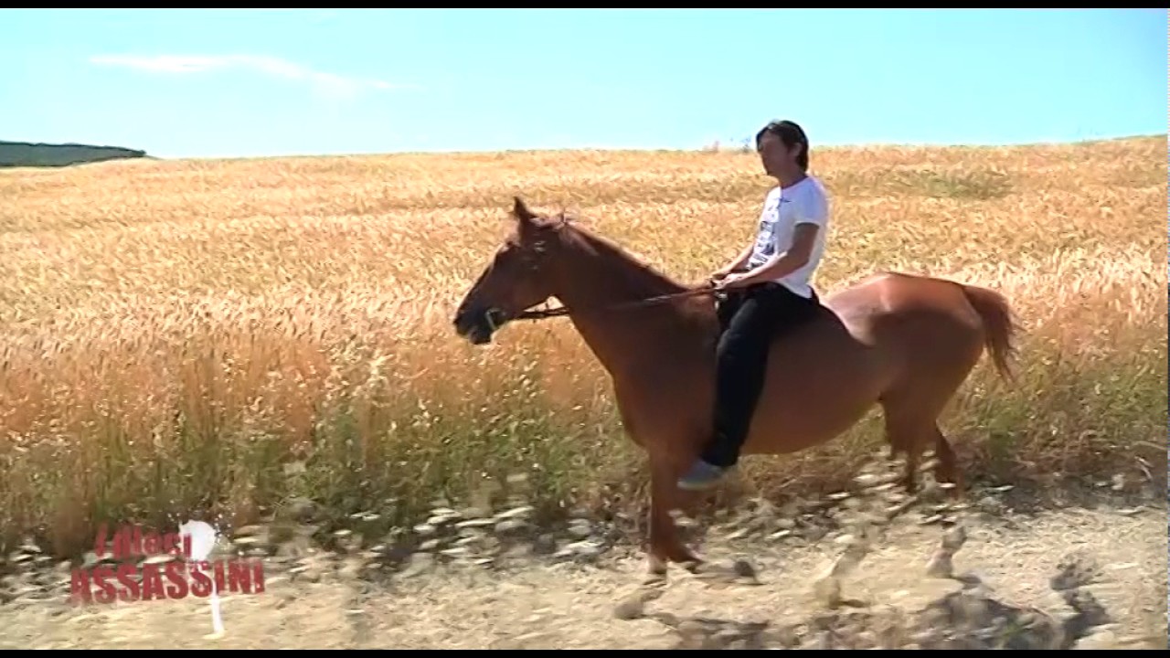 ANDREA MARI 2017 PRIMA PARTE