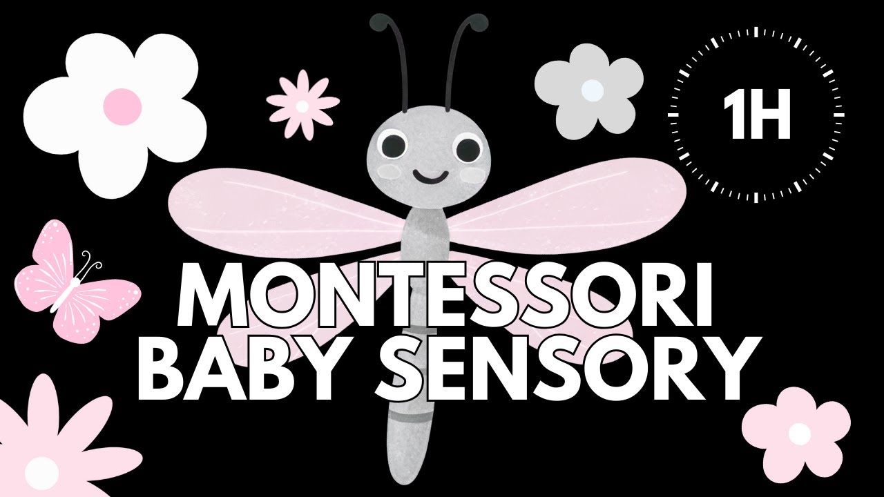 Baby Aesthetic Sensory 🌸 | Low Stimulation | Calm Music & Montessori Visuals | 1 HOUR