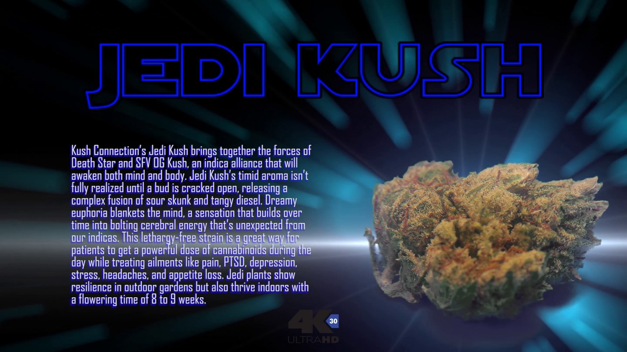Jedi Kush